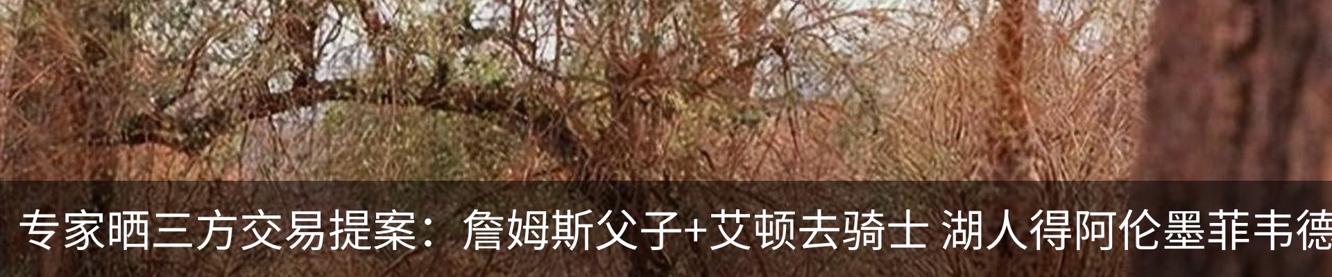 资讯动态