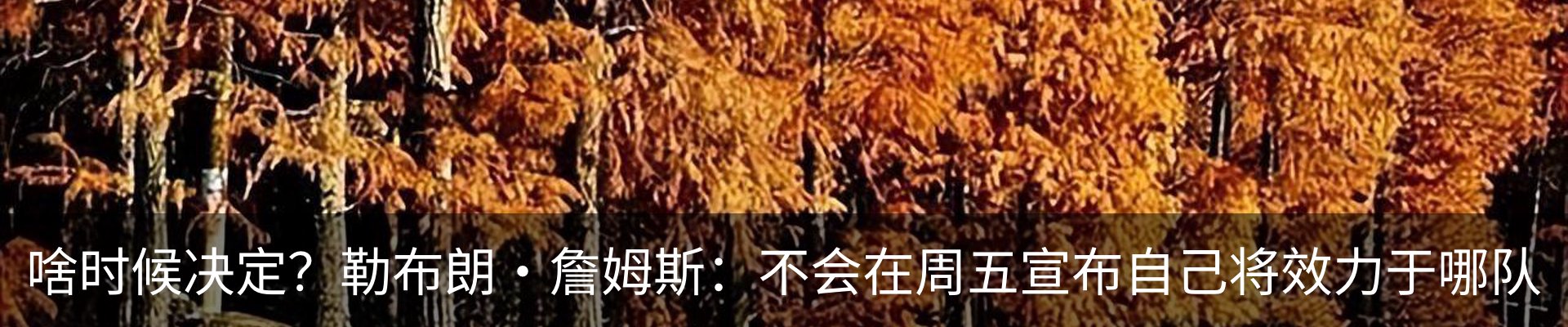资讯动态