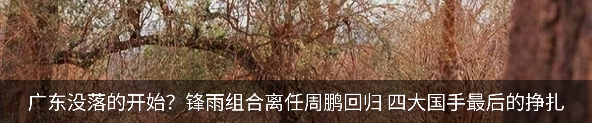 资讯动态