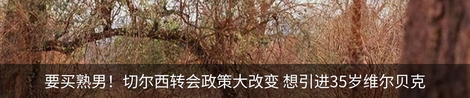 资讯动态
