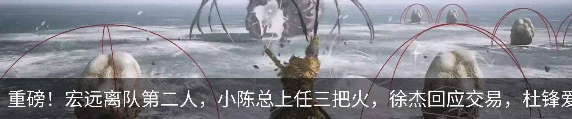 资讯动态