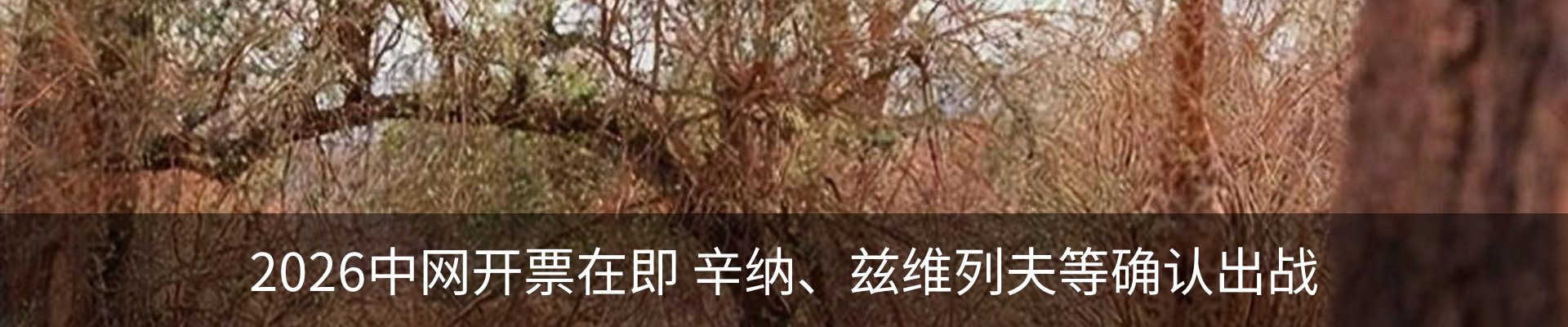 资讯动态